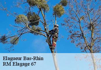 Elagueur 67 Bas-Rhin RM Elagage 67