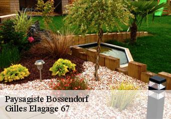 Paysagiste  bossendorf-67270 Gilles Elagage 67