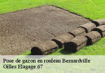 Pose de gazon en rouleau  bernardville-67140 Gilles Elagage 67