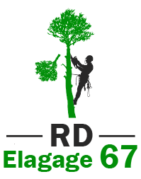 elagage-rd-elagage-67