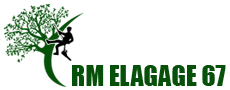 elagage-rm-elagage-67